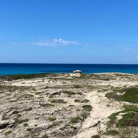 Apartment -lido San Giovanni-appartamento A 2 Passi Dal Mare *